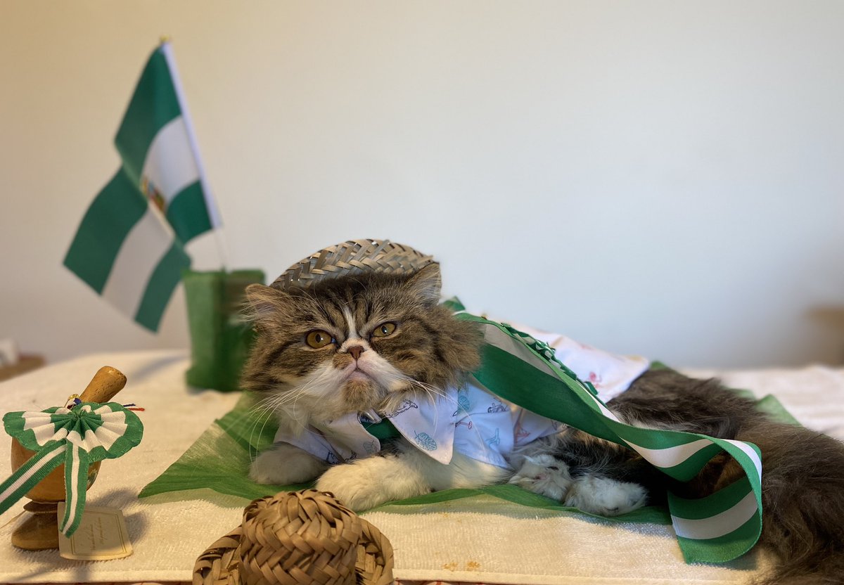 Felicidades santa cruz, pueblo de viciosos!!