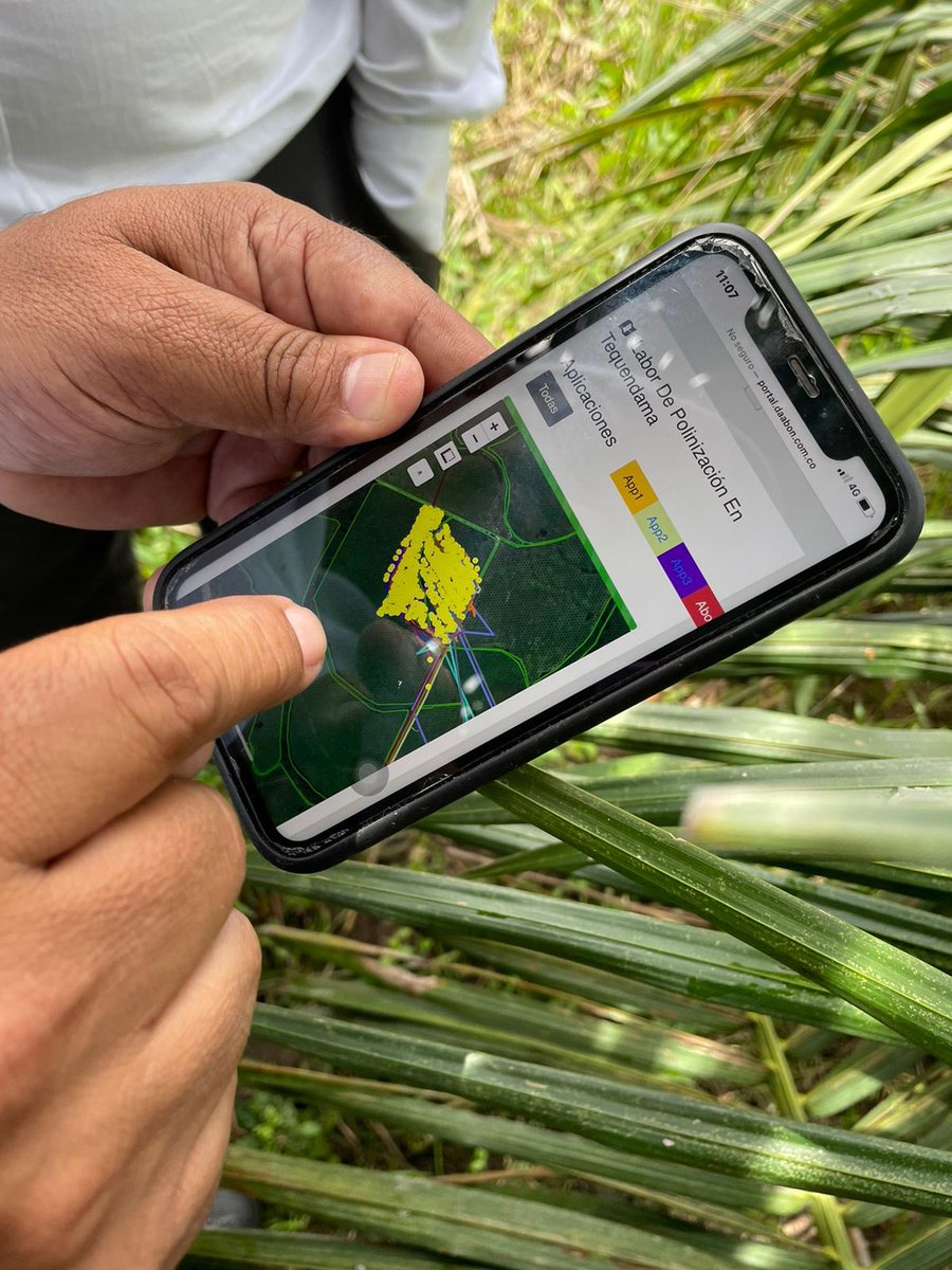 BrendaOrtiz_PA's tweet photo. Great exchange with the Extension Team from @CenipalmaOrg and Oil Palm growers located in Santander, Cesar and Magdalena, Colombia 🇨🇴. Lots of successful R&D along with #AgExtension developments. #innovation #Sustainability #smallgrowers @zapalma7 https://t.co/Nan7QopIoj