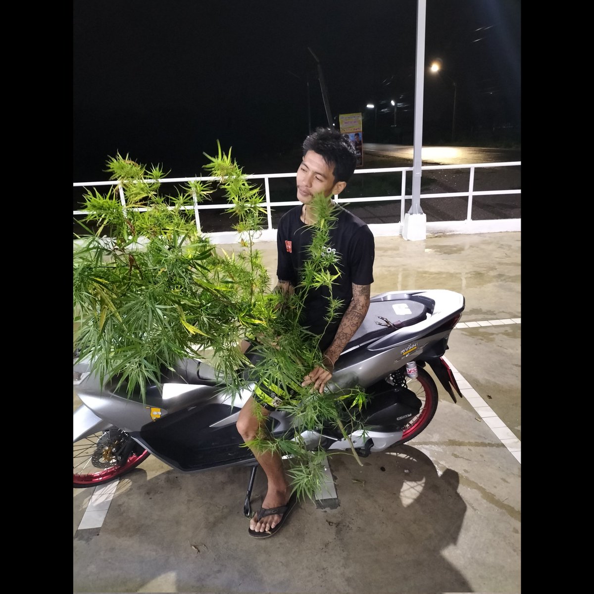 BrKp2m's tweet photo. ยังไม่นอนครับโสดด☺️🍁💚
#เหงาๆ https://t.co/TODdu5fsDa