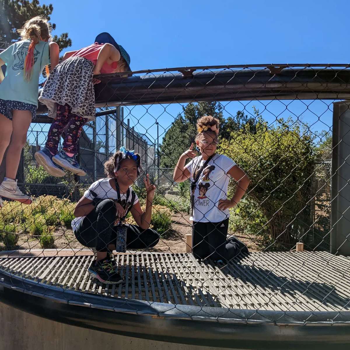 ComedianJamake's tweet photo. Zoo day with the family yesterday!! #Pixel6a #teampixel #andrography https://t.co/knNIGSaA69