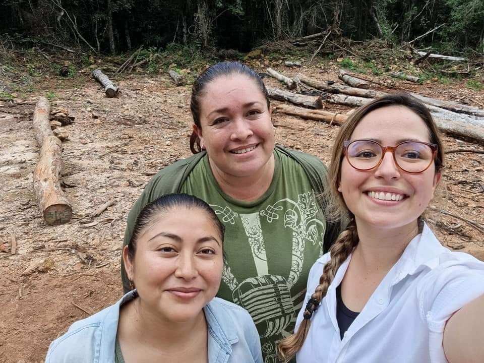 Agroforest_JAL's tweet photo. Intercambio de experiencias entre ejidos de #QuintanaRoo de la RITER de Silvicultura Comunitaria para la elaboración de Planes de Acción Comunitario fortaleciendo manejo forestal y gobernanza.
#REPSERAM y #EjidoNohBec, 1 Sueño común: Visión regional de #ManejoForestalSostenible https://t.co/AjLeB74D1V