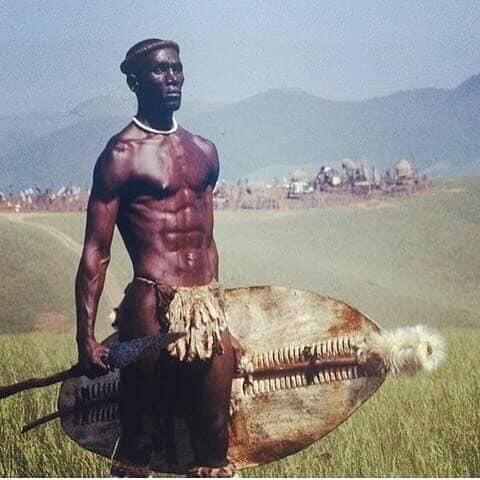 iam_iyati's tweet photo. @Zuko_Mashaba_ @michelepanashe Will the real Shaka Zulu please stand up..... https://t.co/EWIEaedJhN