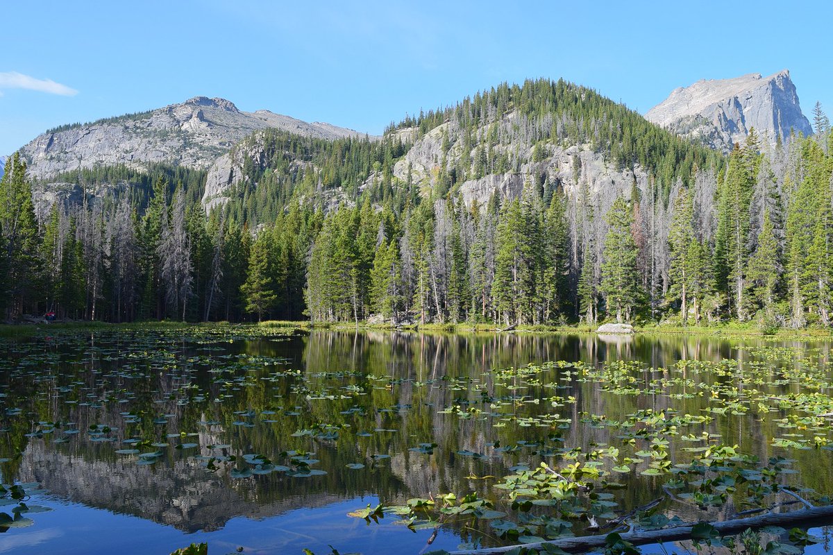 travelrealist's tweet photo. Rocky Mountain is a great destination for a
Labor Day Trip - it's located centrally (and flights to
Denver are relatively affordable!), has many attractions
for a hiker/biker/camper in you. Where are you going
for the Labor Day Weekend? #LaborDay #Travel https://t.co/q7PrA9BzmJ