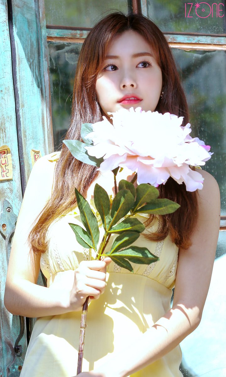 timeto_hyewon's tweet photo. https://t.co/GCRGPW8148