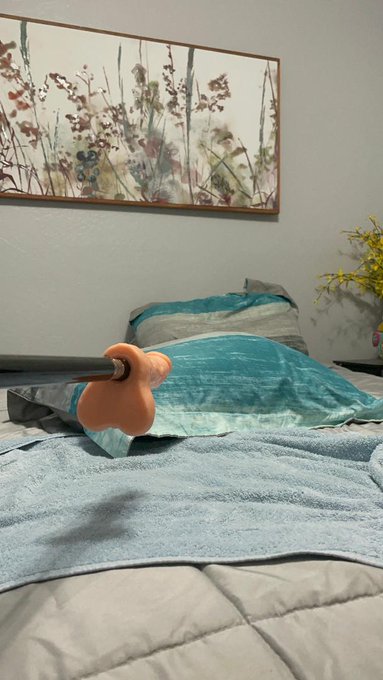 Got to watch this amazing toy violate my husband today, once he got used to it, he loved it.  #onlyfans<a href="/tag/onlyfans"class="tags"><span>#onlyfans</span></a><a href="/tag/onlyfansfree"class="tags"><span>#onlyfansfree</span></a><a href="/tag/bimale"class="tags"><span>#bimale</span></a><a href="/tag/itstootight"class="tags"><span>#itstootight</span></a><a href="/tag/feltreallygood"class="tags"><span>#feltreallygood</span></a>