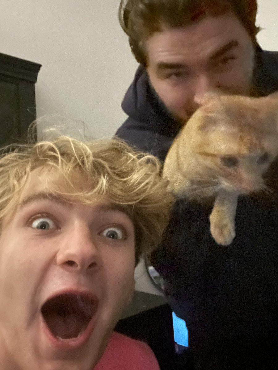 tommyinnit tweet media