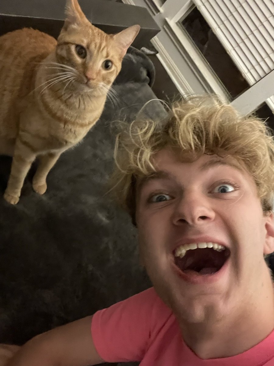 tommyinnit tweet media