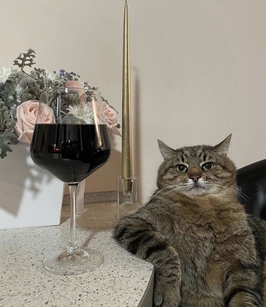 spaflu's tweet photo. @Egocider How could i https://t.co/TVQTGM3Aor
