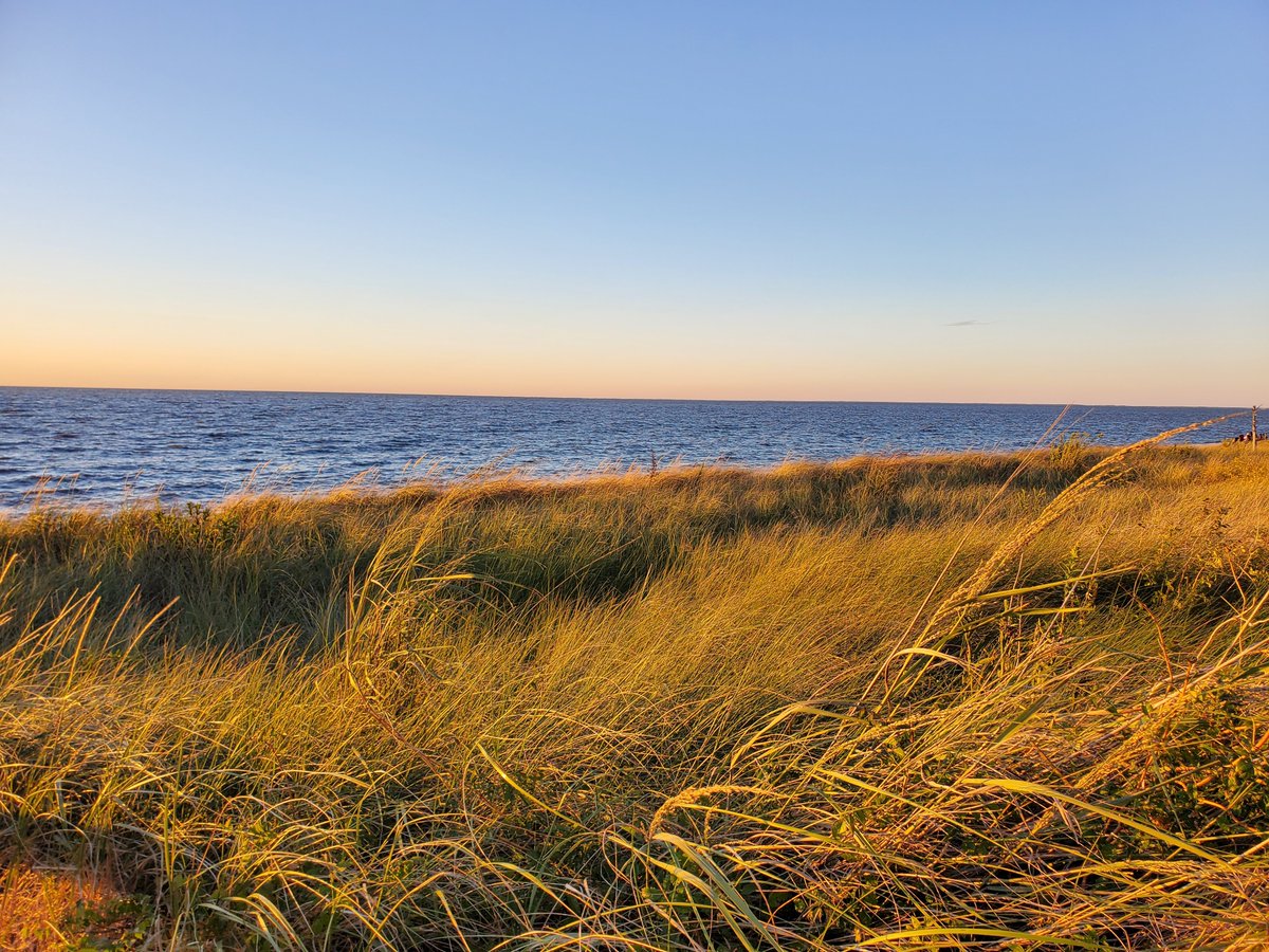 MEHMoore tweet media