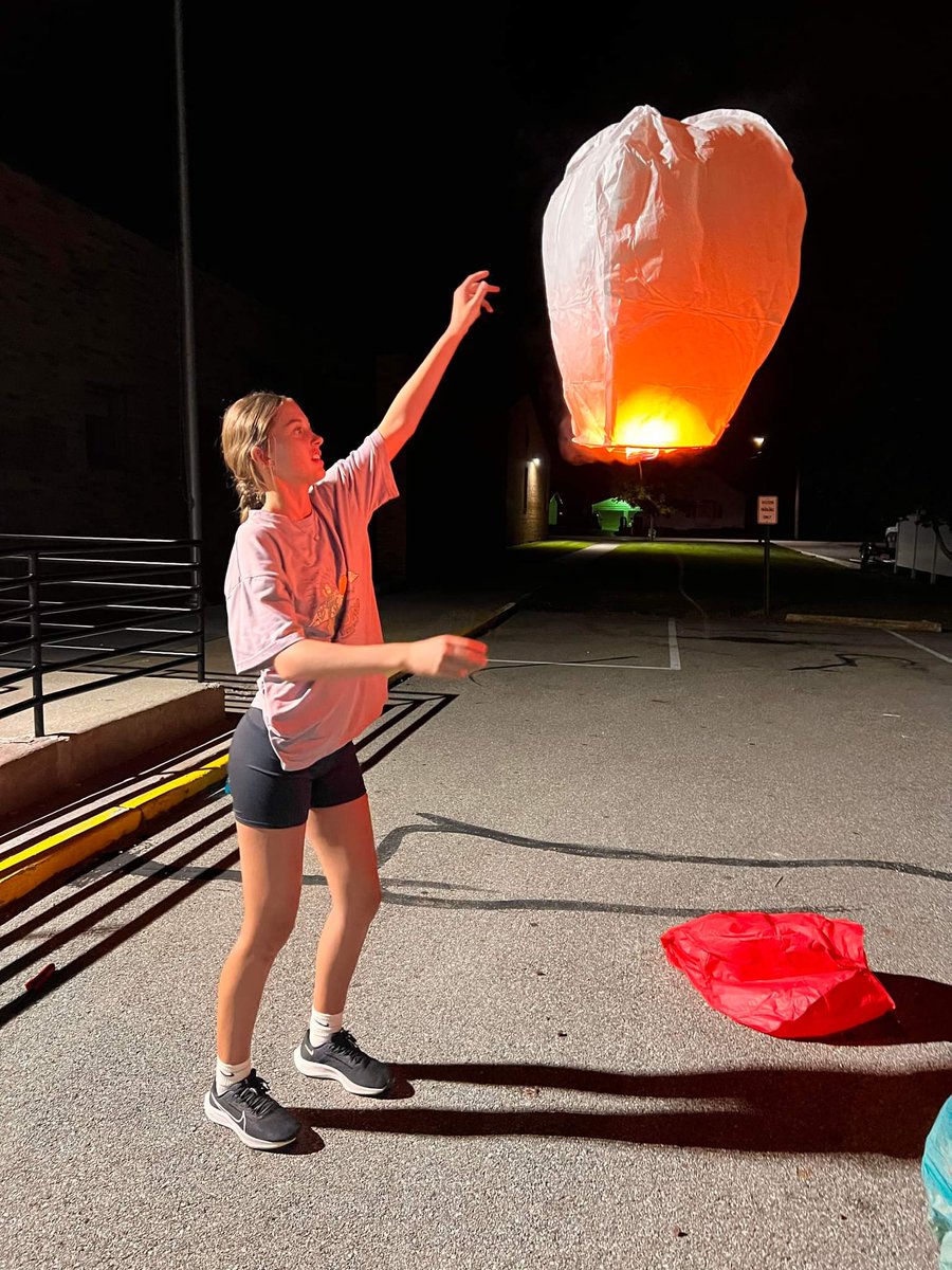 Frankton SIA tweet media