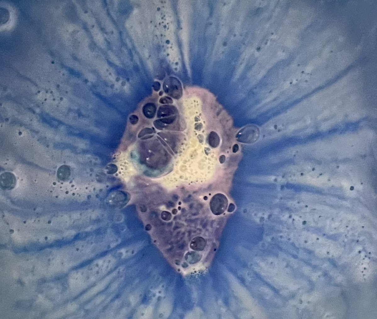 AloneMarried's tweet photo. #BathArt
#FunInTheTub https://t.co/L2hhd1DC4K