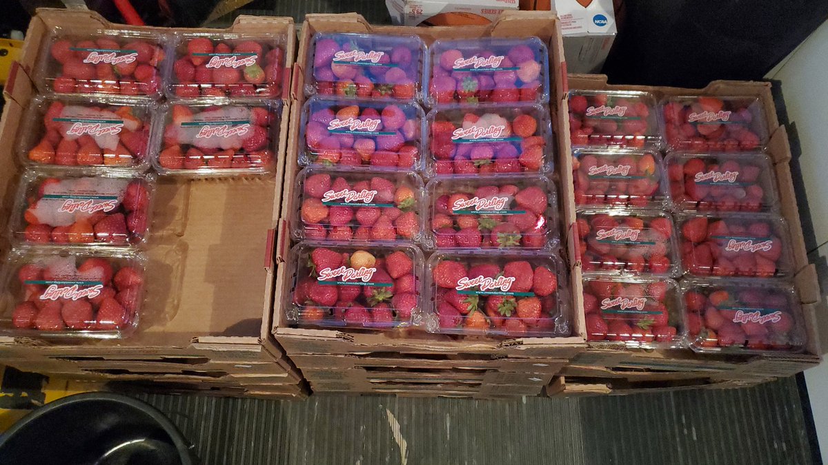 accessyos's tweet image. Hey everyone PRO Bus is on the road now from 7pm-12am, on our way to PinetreeCommunityCenter! Come visit with us and grab some delicious strawberrys. #followthatbus #youthmentalhealth #accessyouth #youthoutreach #youth #tricities #PortCoquitlam #strawberry #strawberryfields