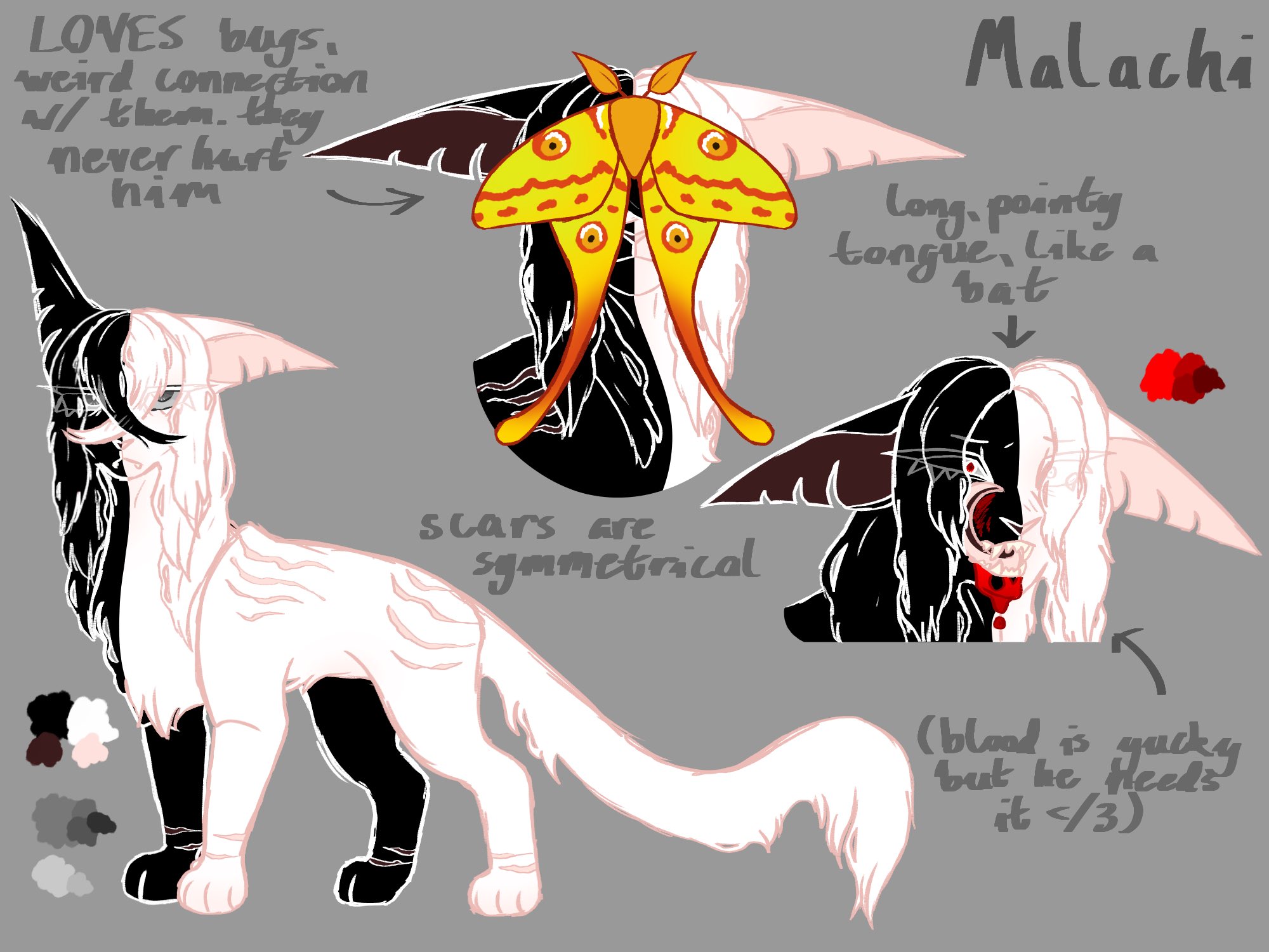 🦇 batsqueak 1/5 🦇 (_bat_squeak_) / Twitter