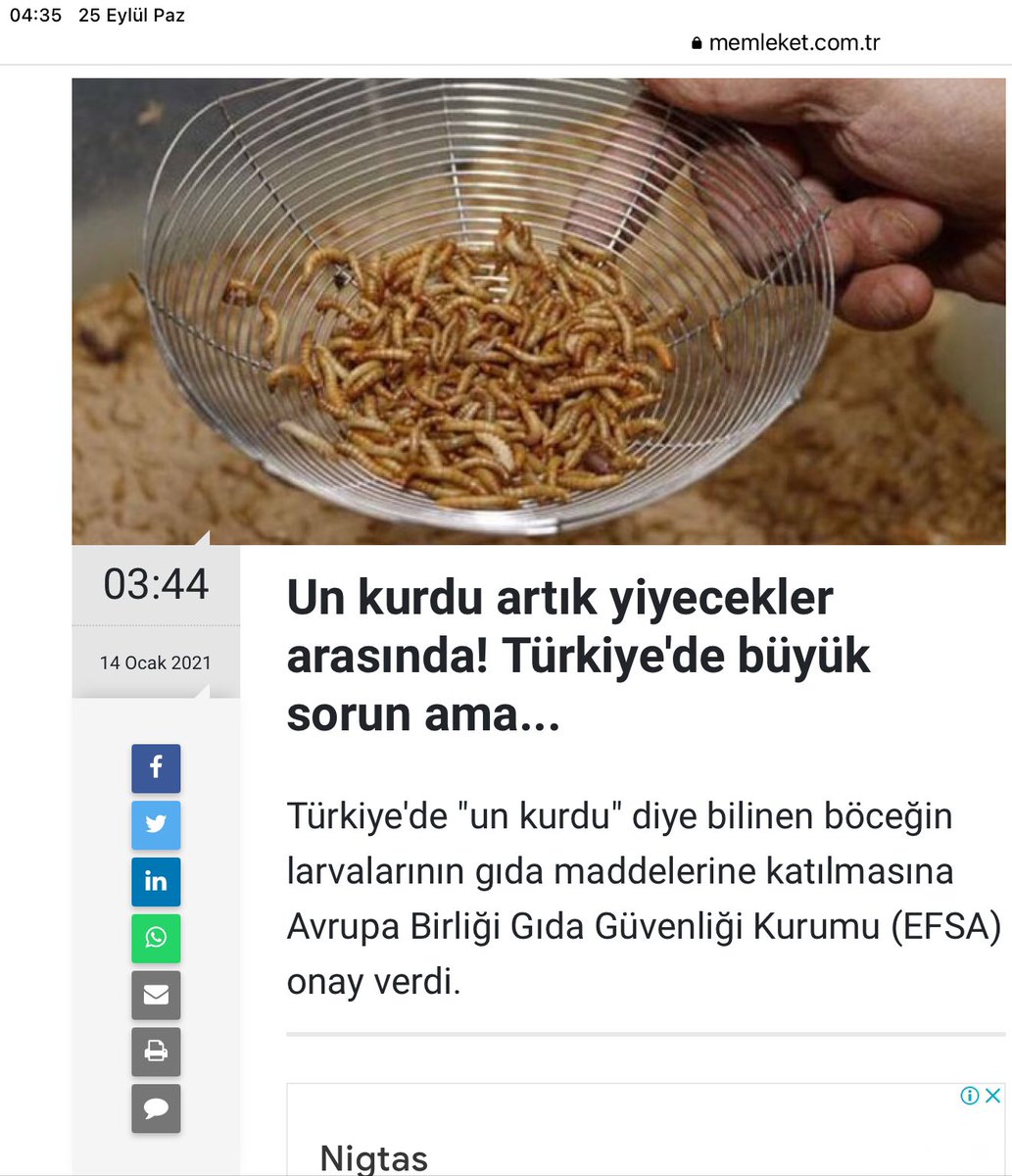 KirazZaman's tweet photo. Makarna haşlarken iğrenç böcek kokusu geliyor. Ben yemiyorum ancak ev halkı bana inanmıyor. 
Haber bu günün ancak uygulama çoktan.. https://t.co/x3cCAEECFM