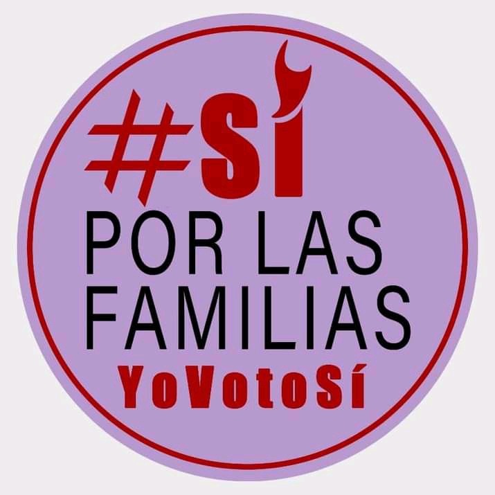 1Vicerrectora's tweet photo. #YoVotoXElAmor #YoVotoSi #YoVotoSiPorElCodigoDeLasFamilias
#CodigoDeLasFamilias 
#CodigoSi https://t.co/D85F3EwjJA