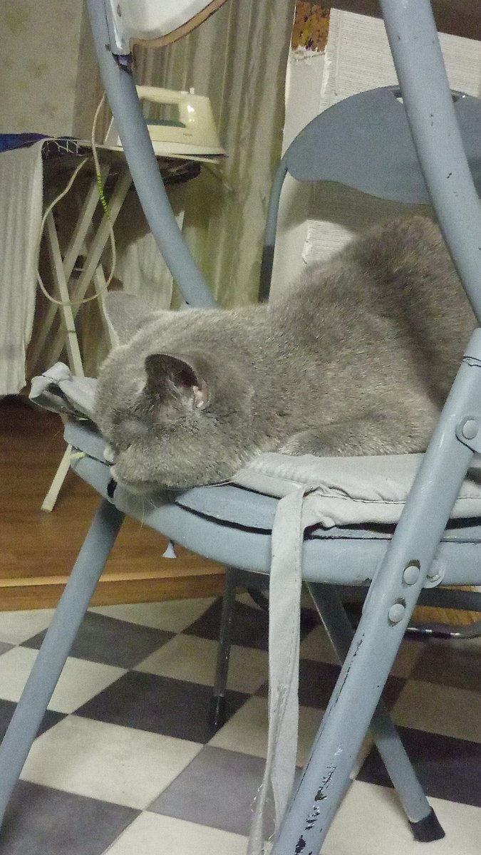 zephiscloud's tweet photo. silly little pose https://t.co/FDgbnMqzxg