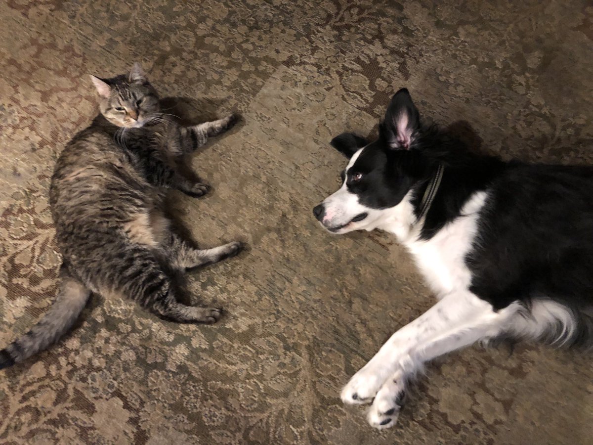 safe_iowa's tweet image. Someone is waiting for you to come home safely.  #BuckleUp #DriveSober #DriveFocused #GetSAFE