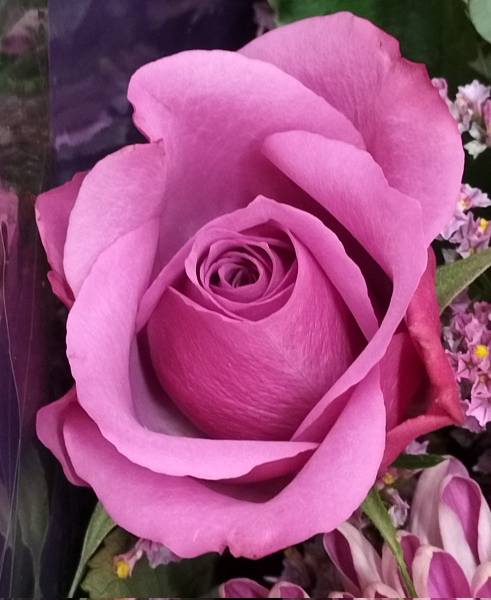 MichellePoet's tweet photo. Photo: Michelle Morris - I love you forever, Lauryn ππΉ
#iloveyou #ILoveYouForever #ILoveYouForever #iloveyousomuch #photo #photographersofinstagram #photography #photographer #photo #photographylovers #photooftheday #photographersinfocus #love #rosephotography #ForeverLove https://t.co/ISEn4KzCG2