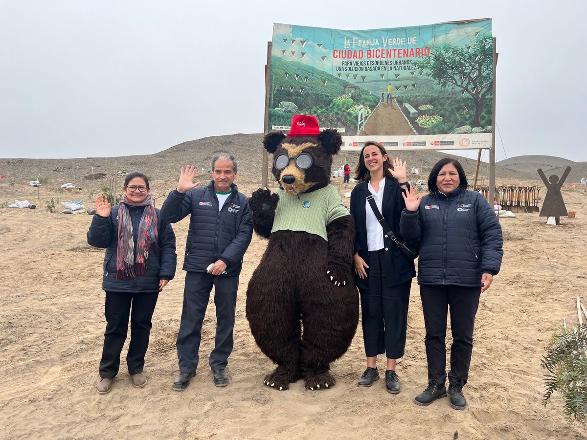 UKinPeru's tweet photo. Sembrando el Futuro 🌿💪

Hoy, junto al @MinamPeru y a @elbritanico, plantamos 150 árboles🌳 en Ciudad Bicentenario, en Ancón. Esta arborización, en la que participaron más de 100 voluntarios, aporta a la iniciativa Jardín Botánico Nacional. (1/2)

#SemanaVerde🇬🇧🇵🇪 https://t.co/JRAHF1rCx6