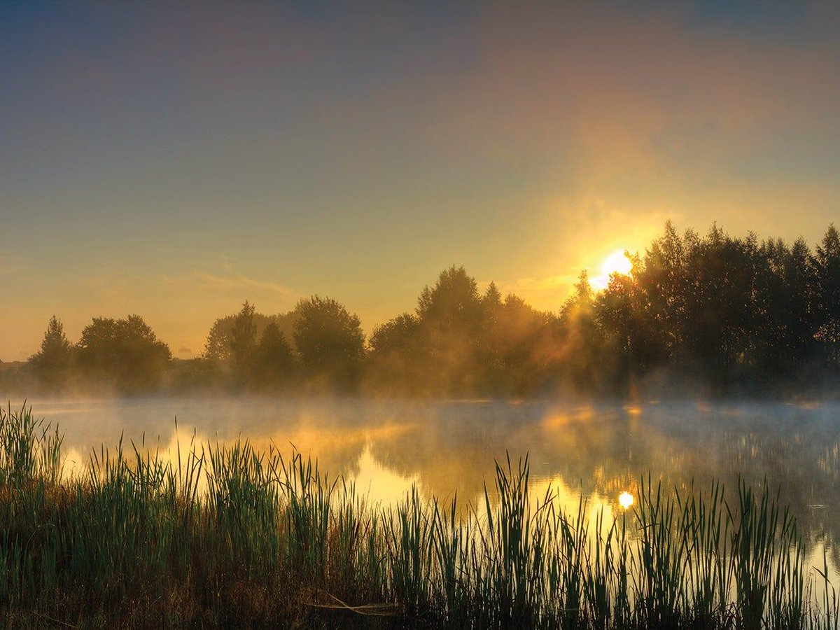 sunset; a daily dose of escapism.