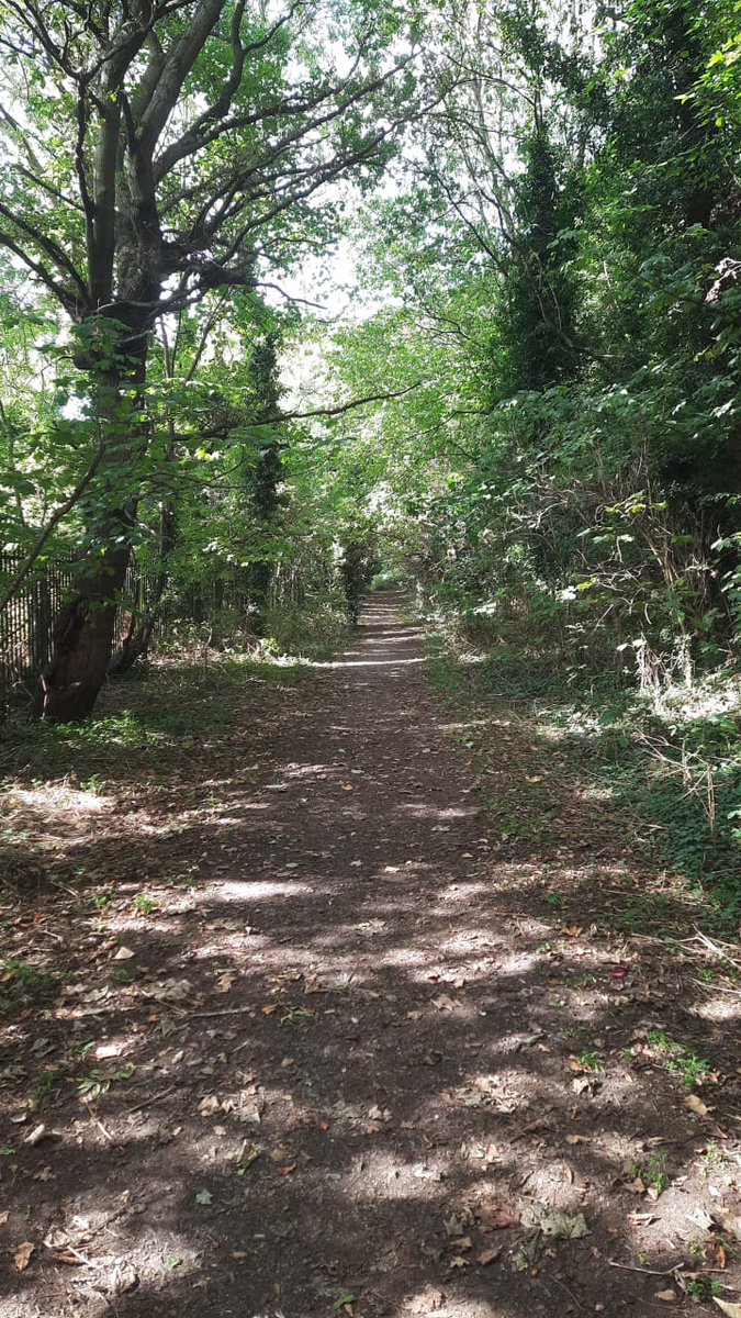 inkheartist's tweet photo. #nature #walk #sky #clouds #woods #birmingham #uk #lights #shadows #beautiful #weekend #midlands https://t.co/zyxaufpw5Y