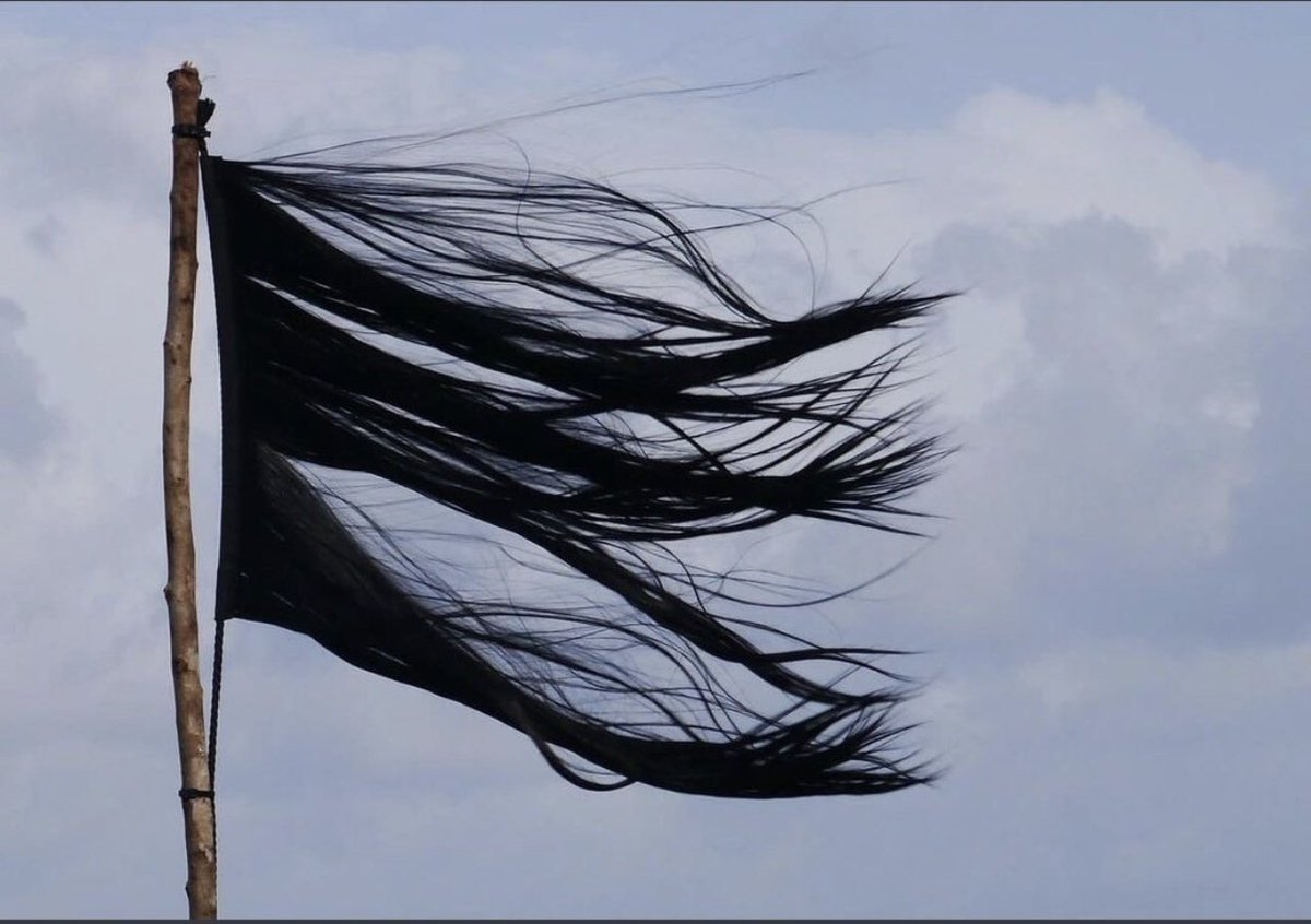 "Bir pencere yeter bana bir tek pencere
Bilince ve bakışa ve suskunluğa
İşte öylesine boy atmış ki ceviz fidanı
Anlatabilir artık genç yapraklarına tüm bir duvarı"
Füruğ Ferruhzad

JinJiyanAzadi
#MahsaAmani
#IranProtests2022