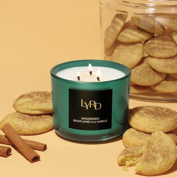 pamsavonshop's tweet photo. Aah -- crisp, cool night, candle glow and the smell of cookies baking. Bring it home with our LYRD Snickerdoodle candle. You'll be craving cookies just smelling this homey fragrance! #snickerdoodle #candleglow #avoncandles @avoninsider https://t.co/9OdV0IuBEv https://t.co/iqw9XhD7AZ