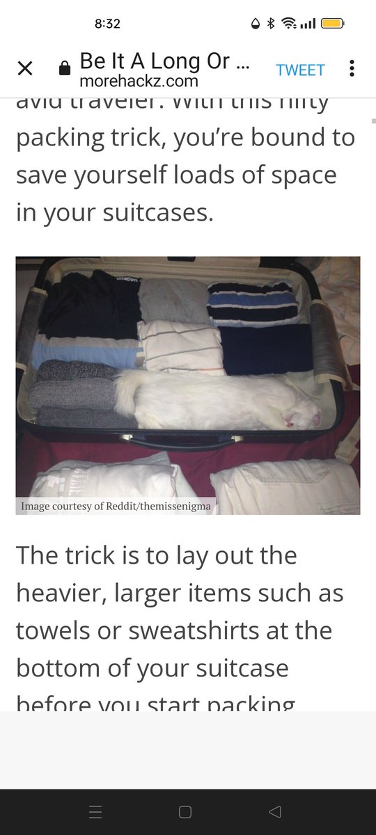 healey_lyndall's tweet photo. @HackzMore OMFG and WTHF https://t.co/vpNmICNT9Q