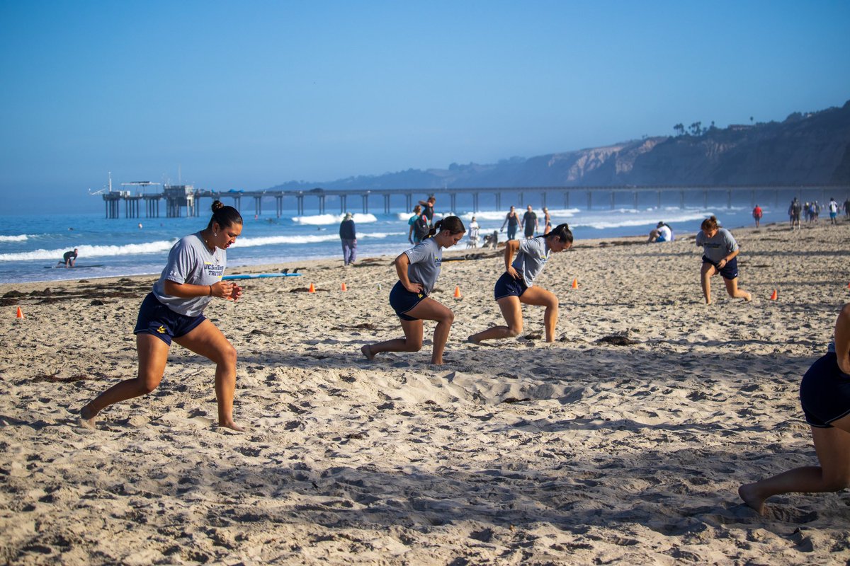 UC San Diego Softball tweet media