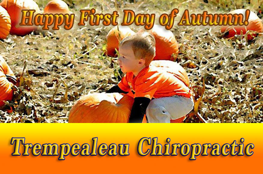 Tremp_Chiro's tweet photo. Welcome to #Autumn! Remember to exercise proper lifting techniques to save your back when it comes to #RakingLeaves & #PickingPumpkins. Need some suggestions? We're here to help!
https://t.co/s1YdSyOrCW
#ChiropracticCare #Wellness https://t.co/wt1do72WSB