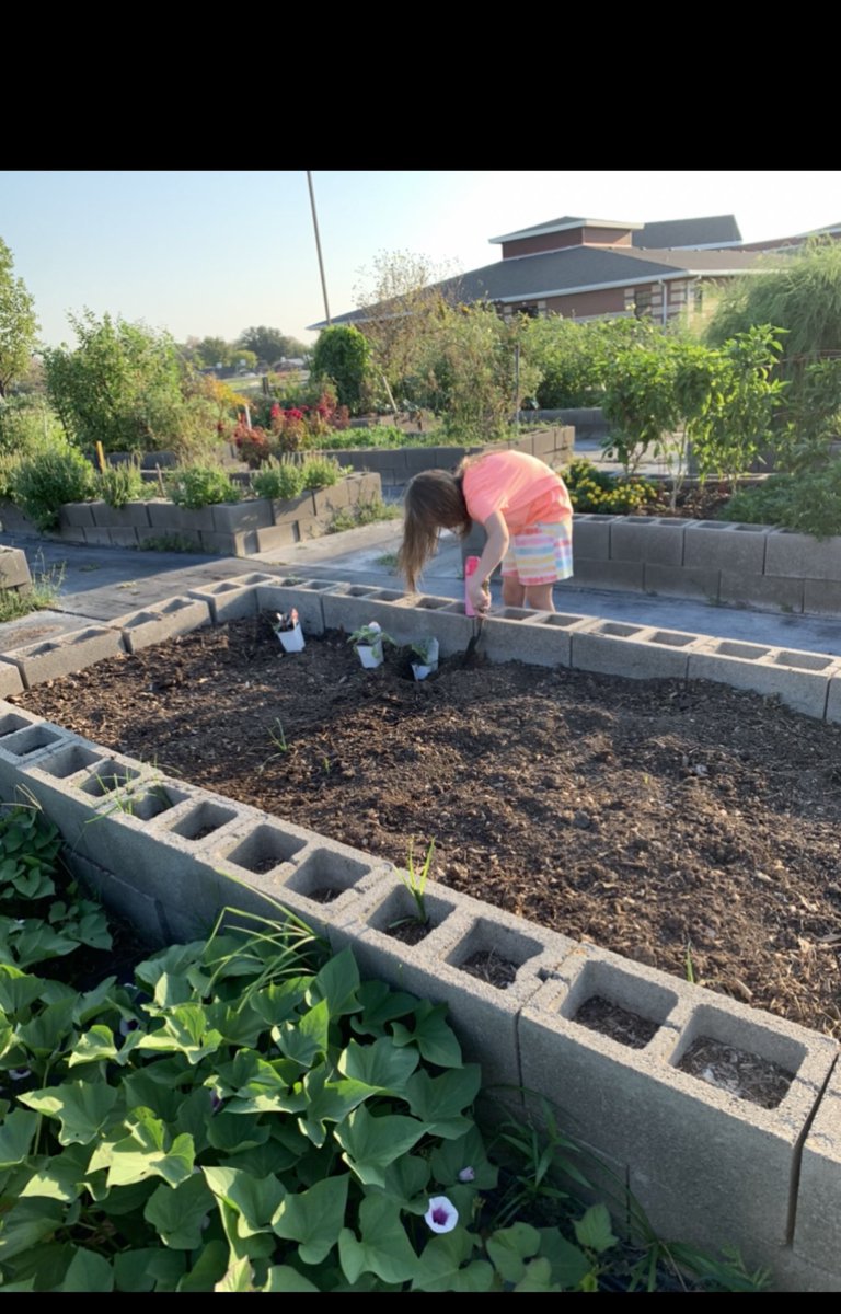 MrsAndersonAP's tweet photo. Gardening day!! Hot! Super Hot! Garden looks amazing thanks to our families and community! @grandprairieisd #WeCreateSuccess https://t.co/KqW9XYW8tO