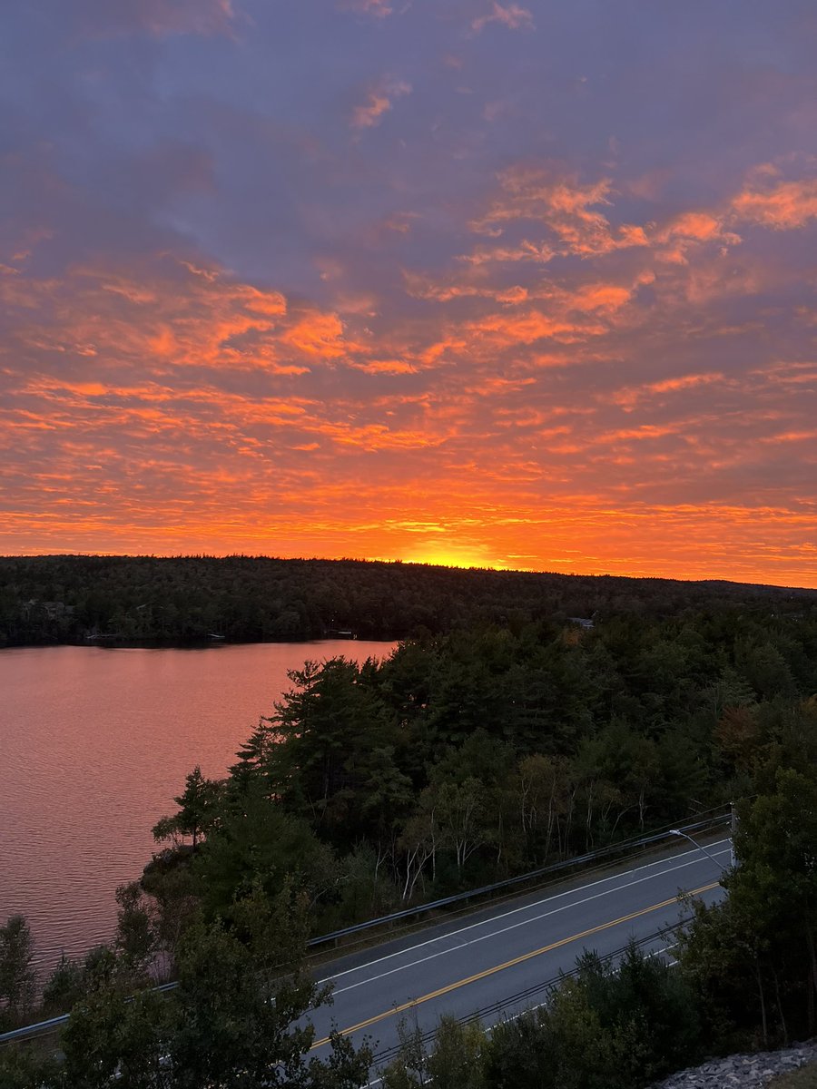 SharonSpindler1's tweet photo. @halifaxnoise Beauty! https://t.co/jLDrVepPf5