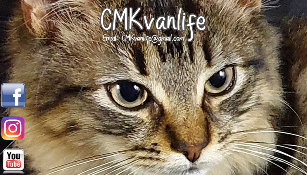 CmkVanlife's tweet photo. This is Ziggy and he travels everywhere with us.
#vanlifeuk, #Mobilvetta, #motorhomeuk, #Adventurecat, #Kitten, #Drone, #GoPro, #GenX, #Roadtrips , #Crafting , #Outbacker , #wildcampinguk , #stealthcamping , #cmkvanlife , #noobs, #baffledbytechnology, #learning, #vanlifeeurope https://t.co/wHFN3Zq3bs