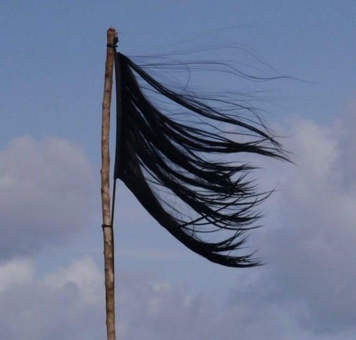 Non tutto è perduto. Forza e coraggio alle donne iraniane. 

#IranProtests2022