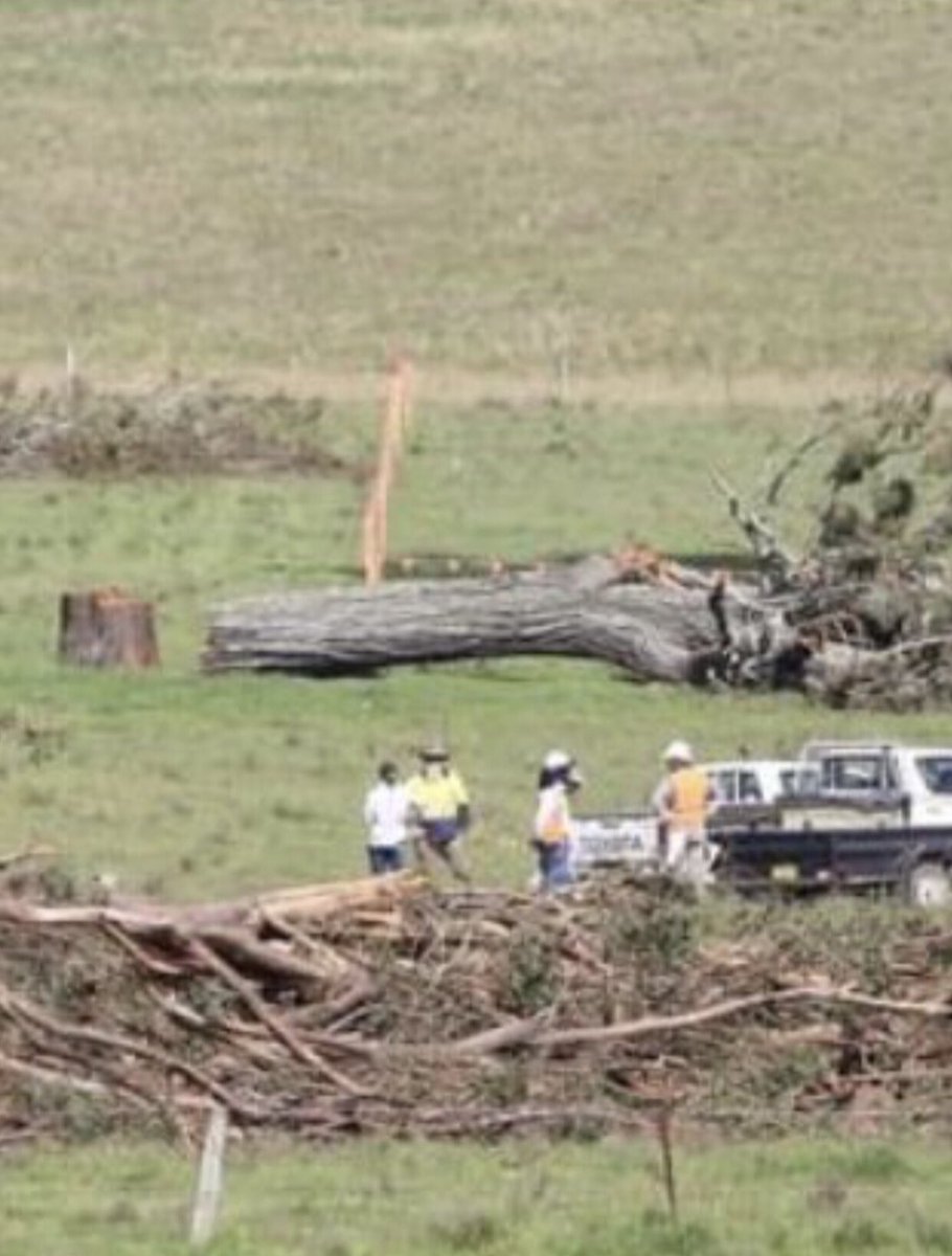 savesydneykoala's tweet photo. Is this why @Lendlease can remove Koalas habitat /corridors? 

They are in partnership w NSW Govt

Isnt this a massive conflict of interest @James_HGriffin?   

@cityoflondon why r you doing business with a company killing koalas ? @MayorofLondon 

@MichaelWestBiz @DeutscheBank https://t.co/y8t6bXOy5M