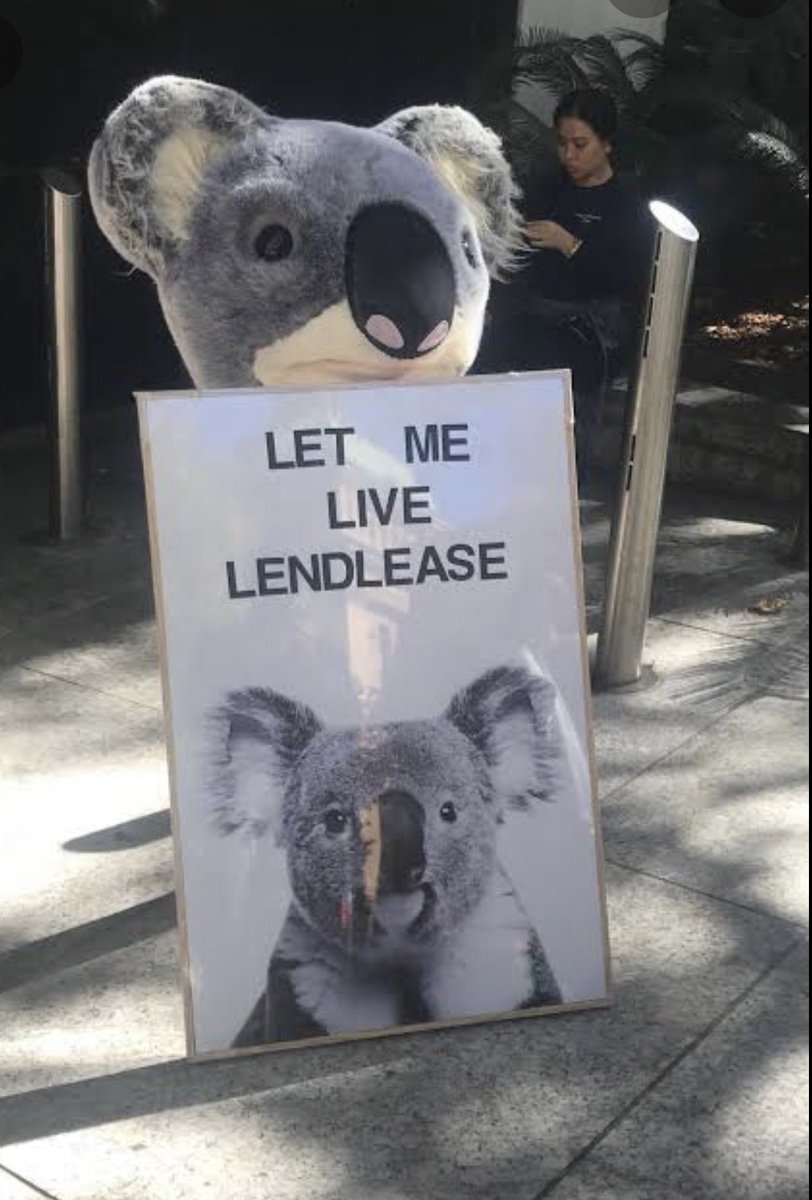 savesydneykoala's tweet photo. Is this why @Lendlease can remove Koalas habitat /corridors? 

They are in partnership w NSW Govt

Isnt this a massive conflict of interest @James_HGriffin?   

@cityoflondon why r you doing business with a company killing koalas ? @MayorofLondon 

@MichaelWestBiz @DeutscheBank https://t.co/y8t6bXOy5M