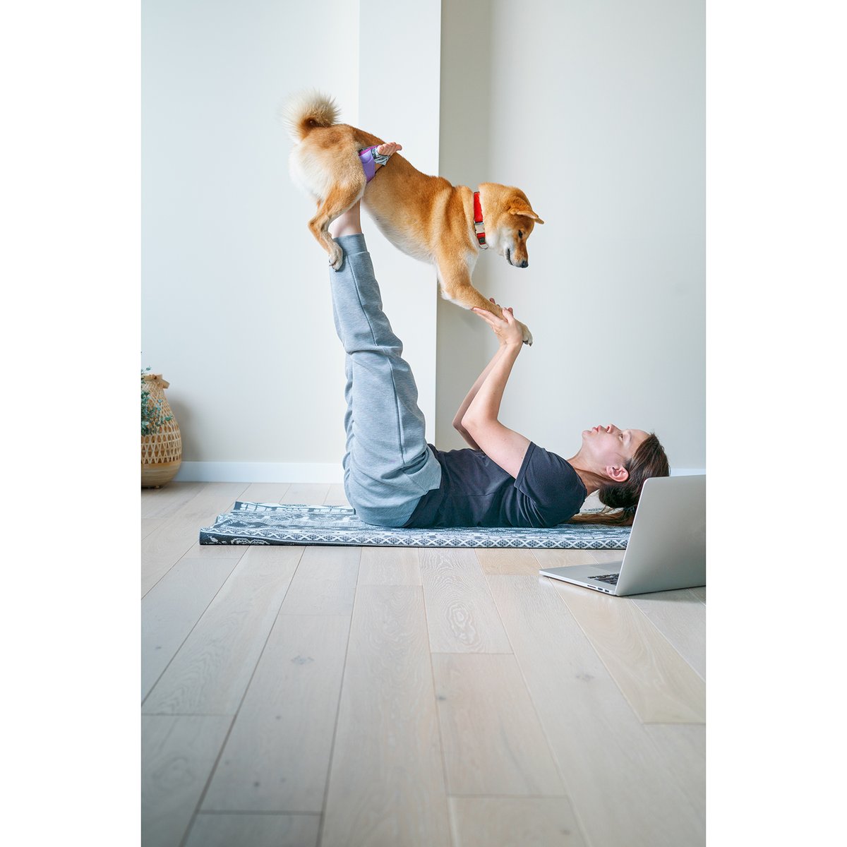 Invite a friend to join for #NationalYogaMonth! Our #PetFriendlyHotel means you never have to leave your furry friend at home, and never have to practice yoga alone! #SonestaWhitePlains #SonestaHotel #StaySonesta