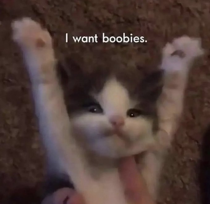 💖 https://t.co/8ZtabjGxpr