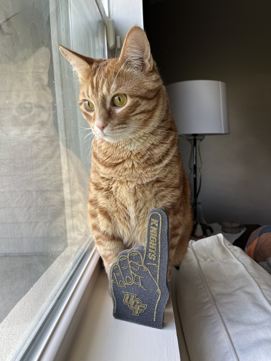 tay tweet media