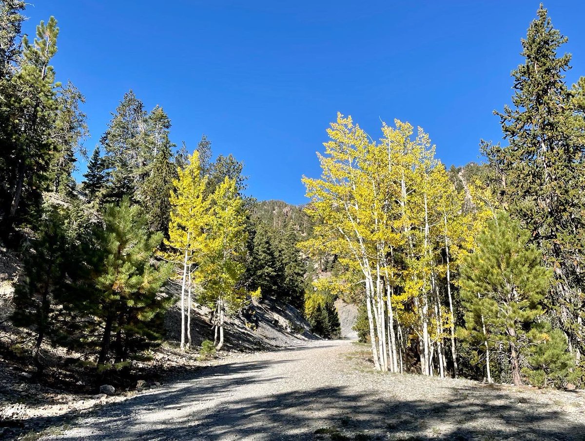 Went out for a 6+ mile hike out on the Bristlecone Loop Trail this morning! 

#Hiking #TeamNuun #NuunLife #OptOutside