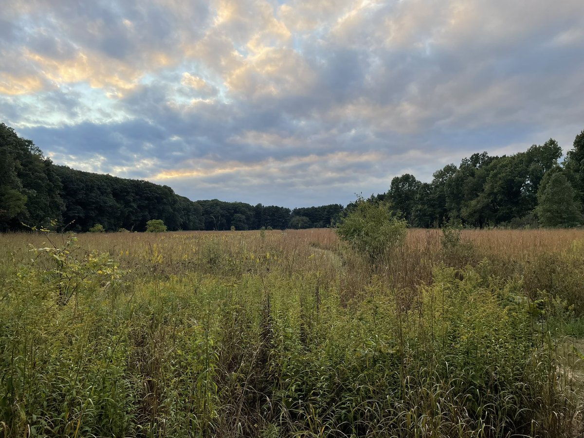 Dr_ThomasZ's tweet photo. At @UMich, visiting #TheArb. 

Beautiful early Fall landscape. #PureMichigan https://t.co/smJuBL3WkL