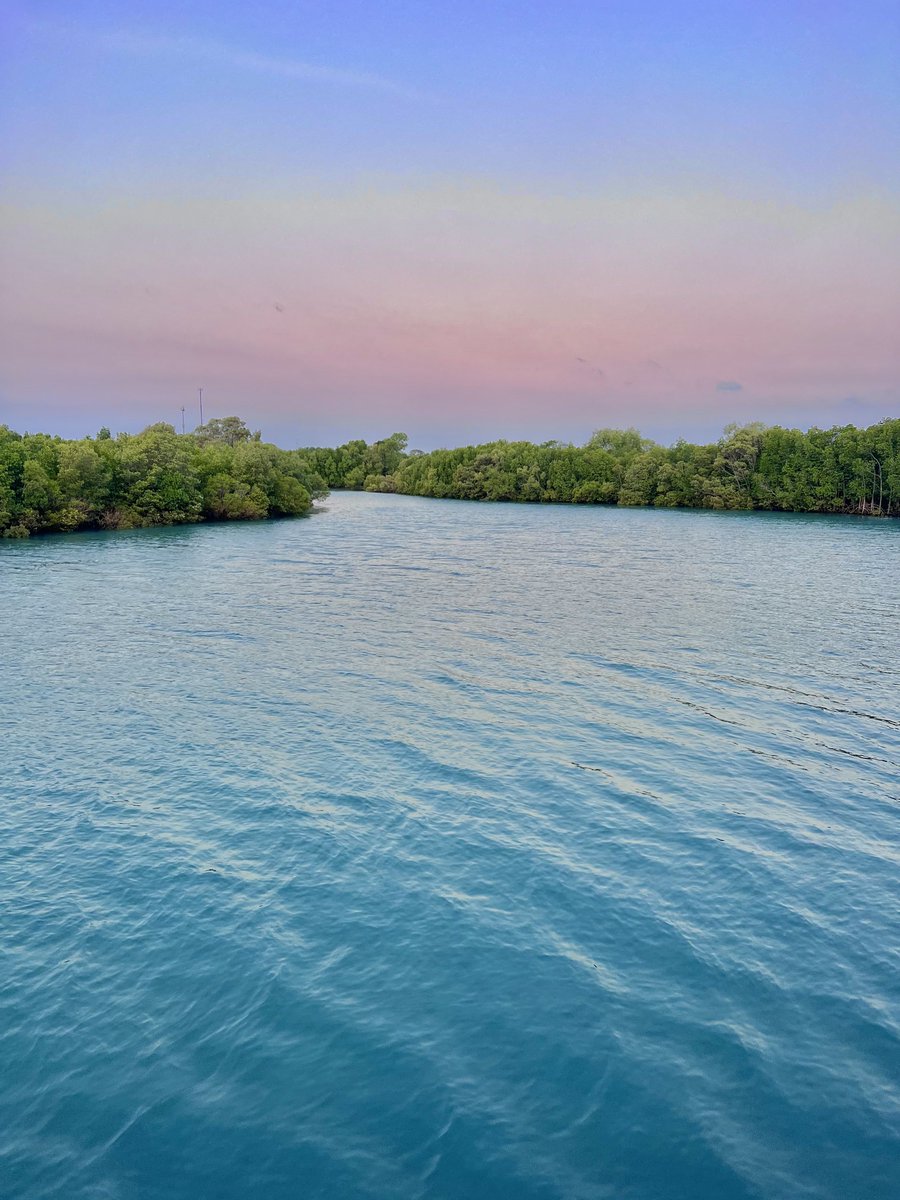 Nick Volpe tweet media