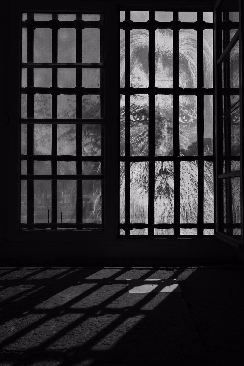 Steve McCurry show at Cordoaria Nacional in Lisbon 
2022.09.23
#stevemccurry 
#monochrome