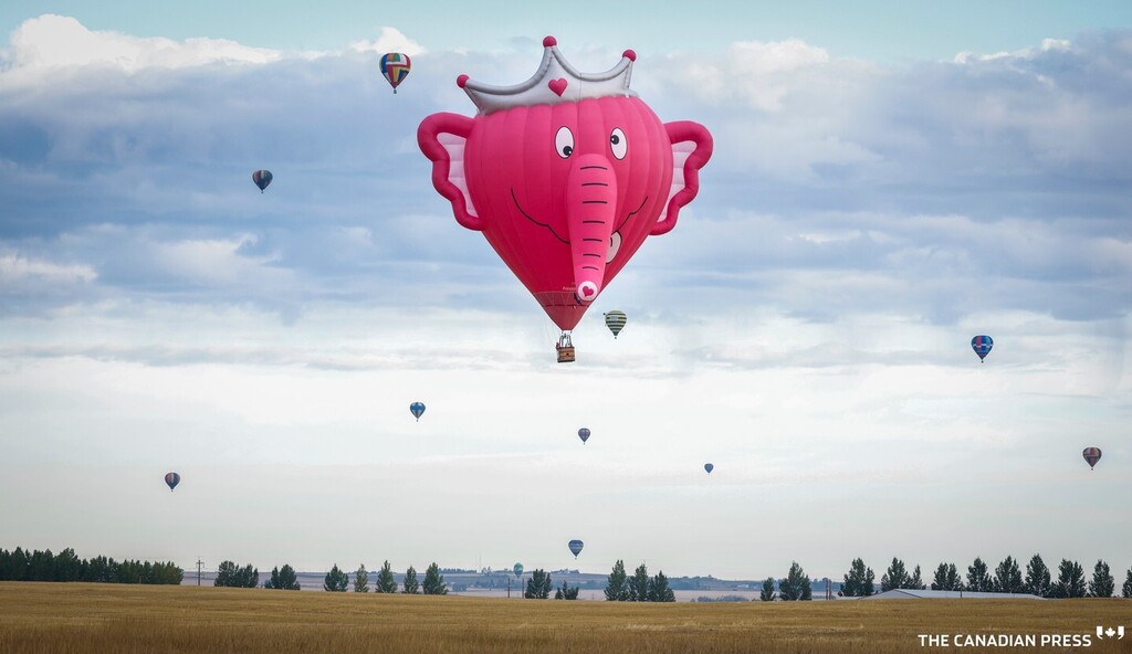 I love my job! Thanks to <a href="/BillGraveland/">Bill Graveland</a>
for the pix of me in a basket...

Hot air balloons during the Heritage Inn International Balloon Festival near High River, Alta., Thursday, Sept. 22, 2022.THE CANADIAN PRESS/Jeff McIntosh
.
.
.
.
.
#heritageinninte… instagr.am/p/Ci6D3mrPWv5/