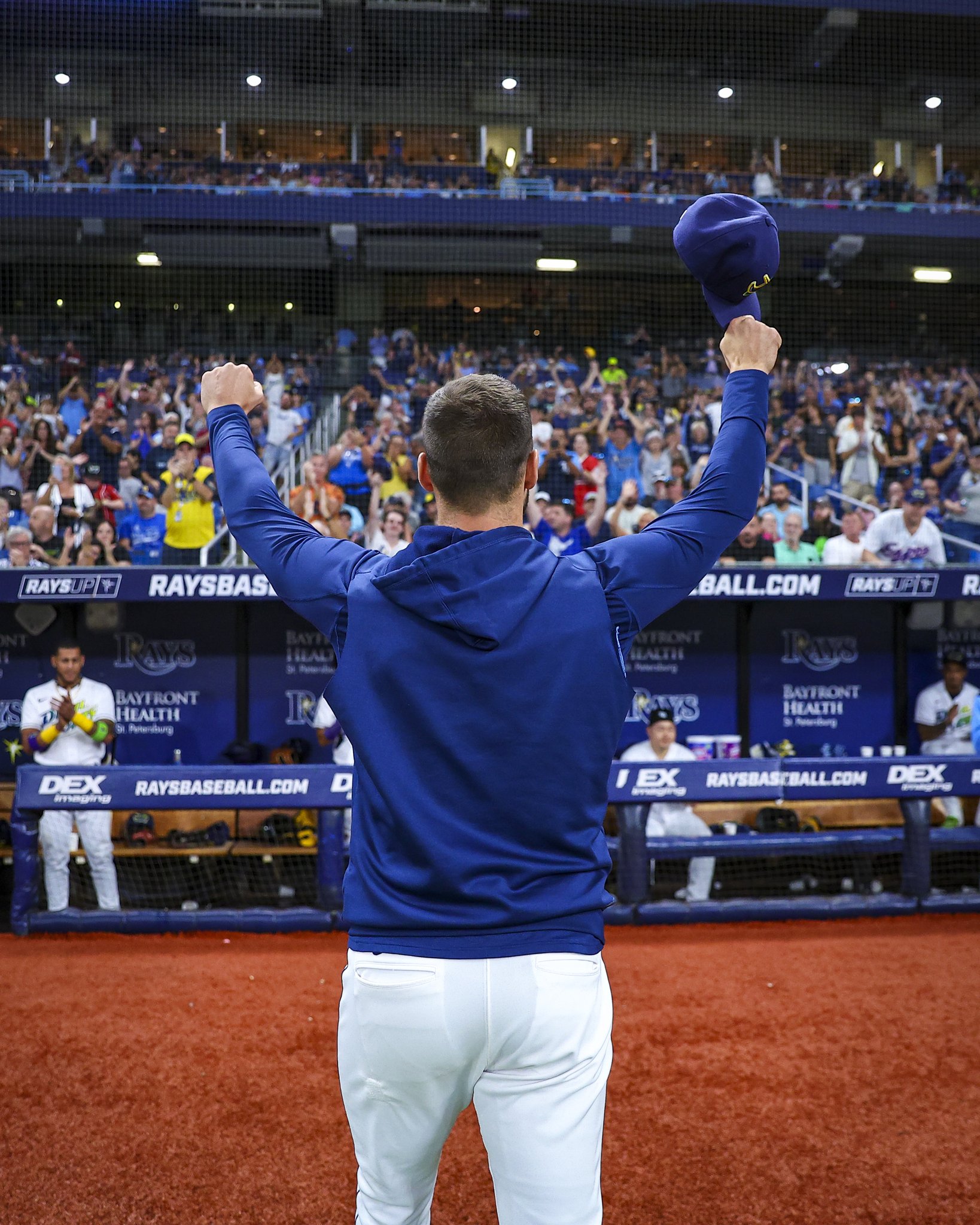 Say Rays Tampa Bay Rays on Twitter: