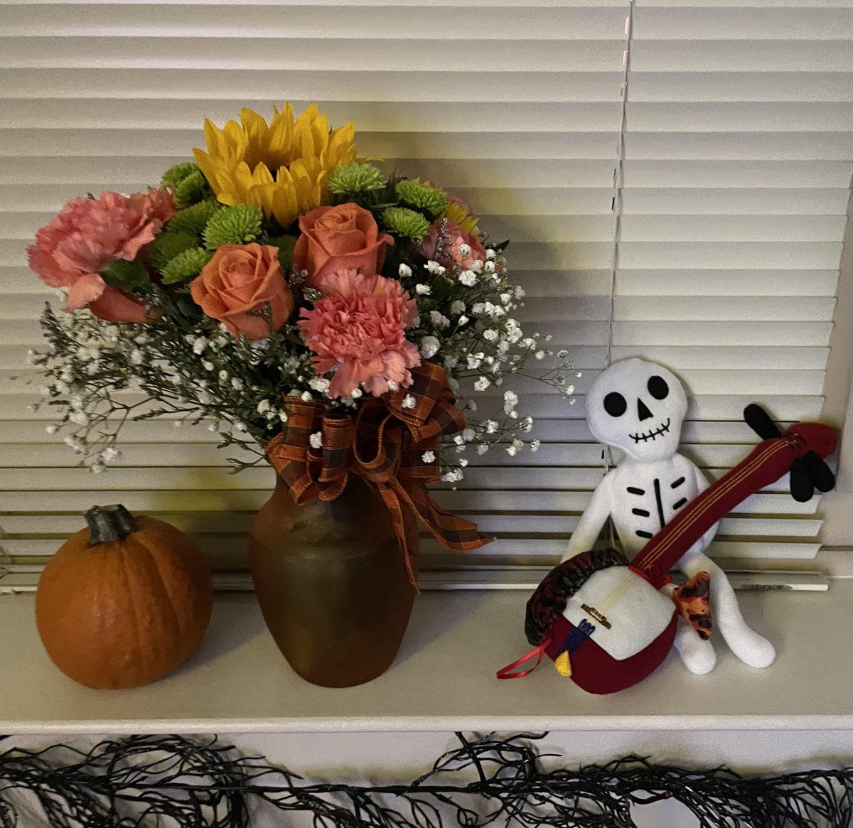 NewtypeLady's tweet photo. @Tokyo_Lens I ordered one of your plush shamisen and it’s chillin’ with this skeleton now. 💗 https://t.co/MQXGuSA9Kf