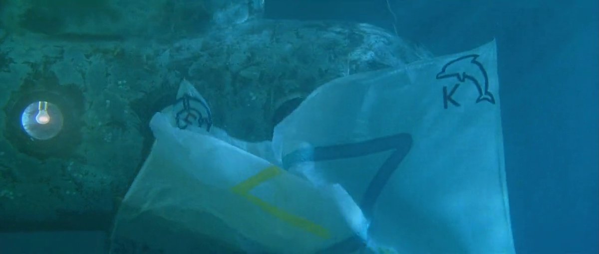 A_Life_Aquatic's tweet photo. https://t.co/bXhA0k0Pzw