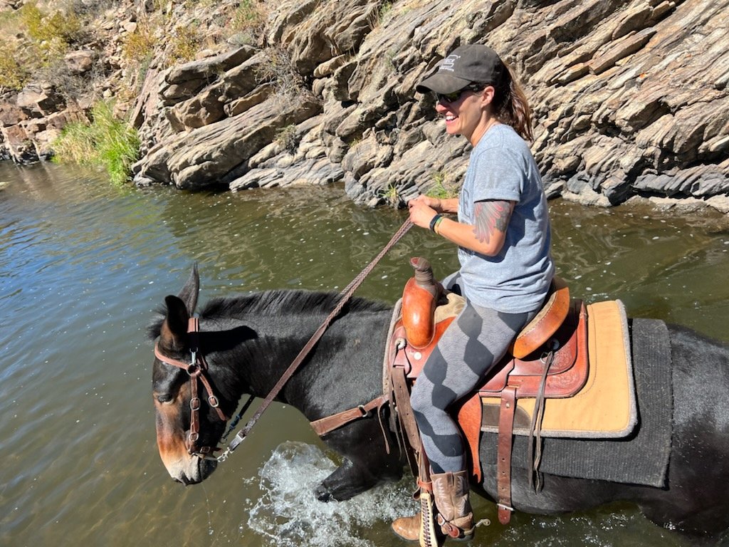 trailswesttrad's tweet photo. Another great day!!
#mules #mulesrule https://t.co/P57QtPoaOe