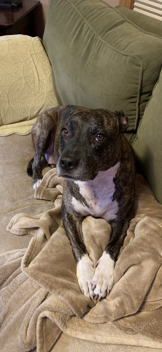 Pat 🎶🎶🎶 tweet media