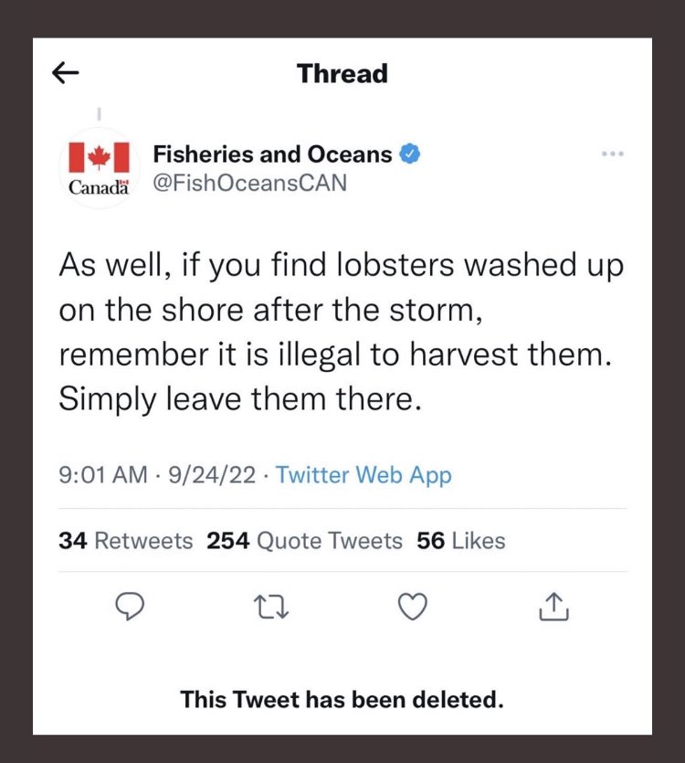 michelinrandene's tweet photo. How dare you. Inconsiderate. People lost their homes and you post about lobsters. How dare you. https://t.co/37Evwp99bJ
